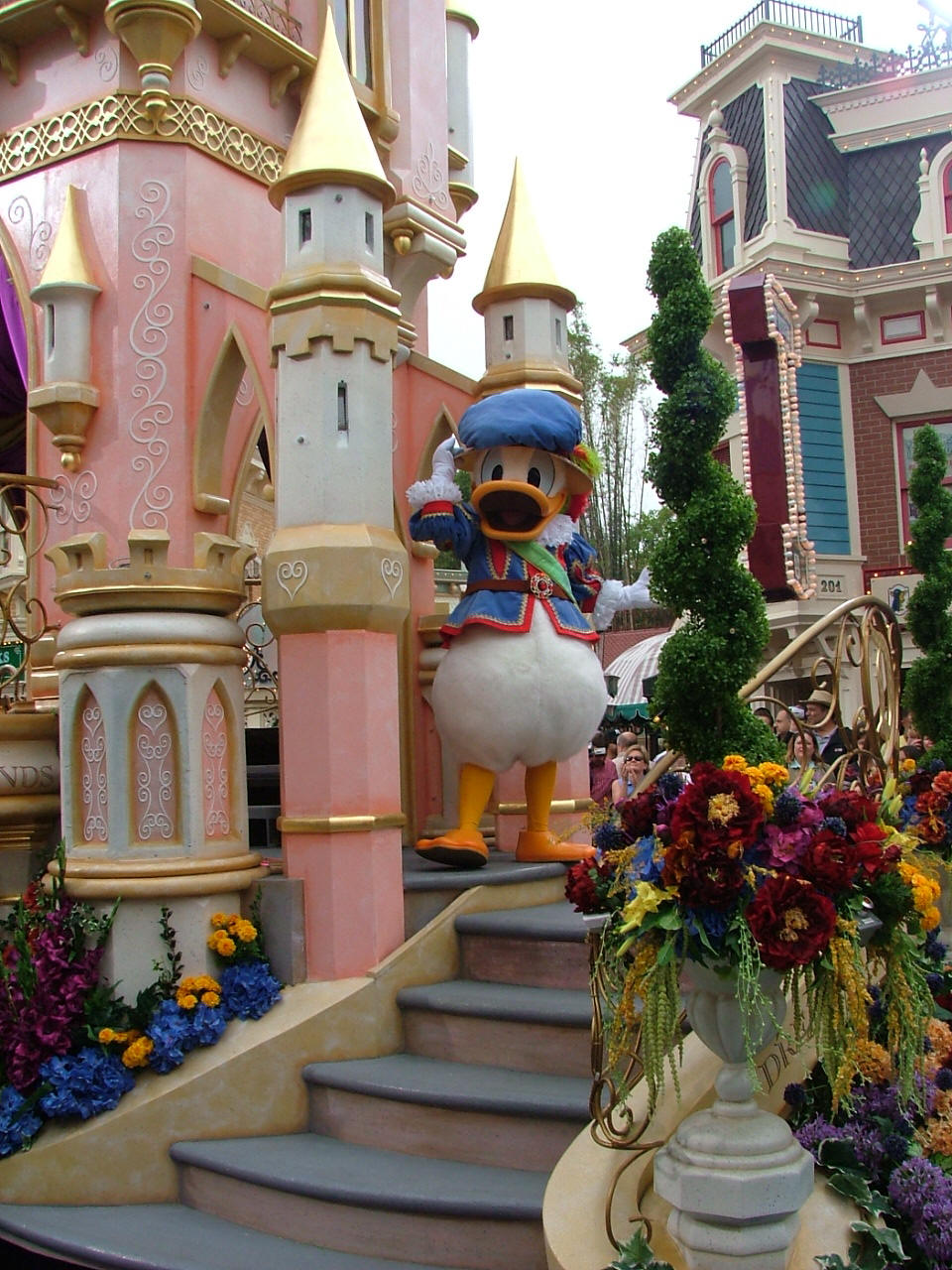 kačer donald 